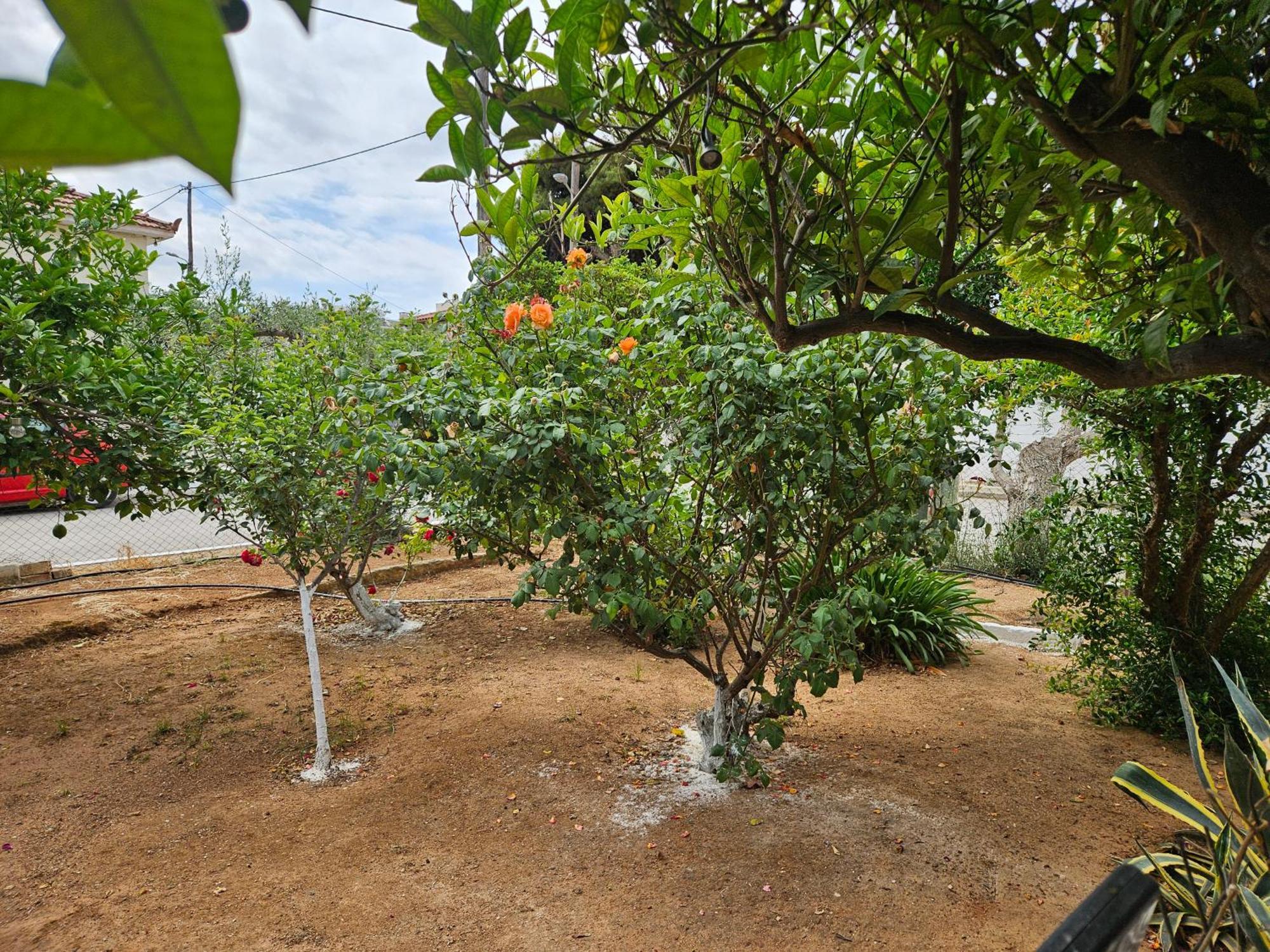 Melograno Apartamento Markópoulon Exterior foto