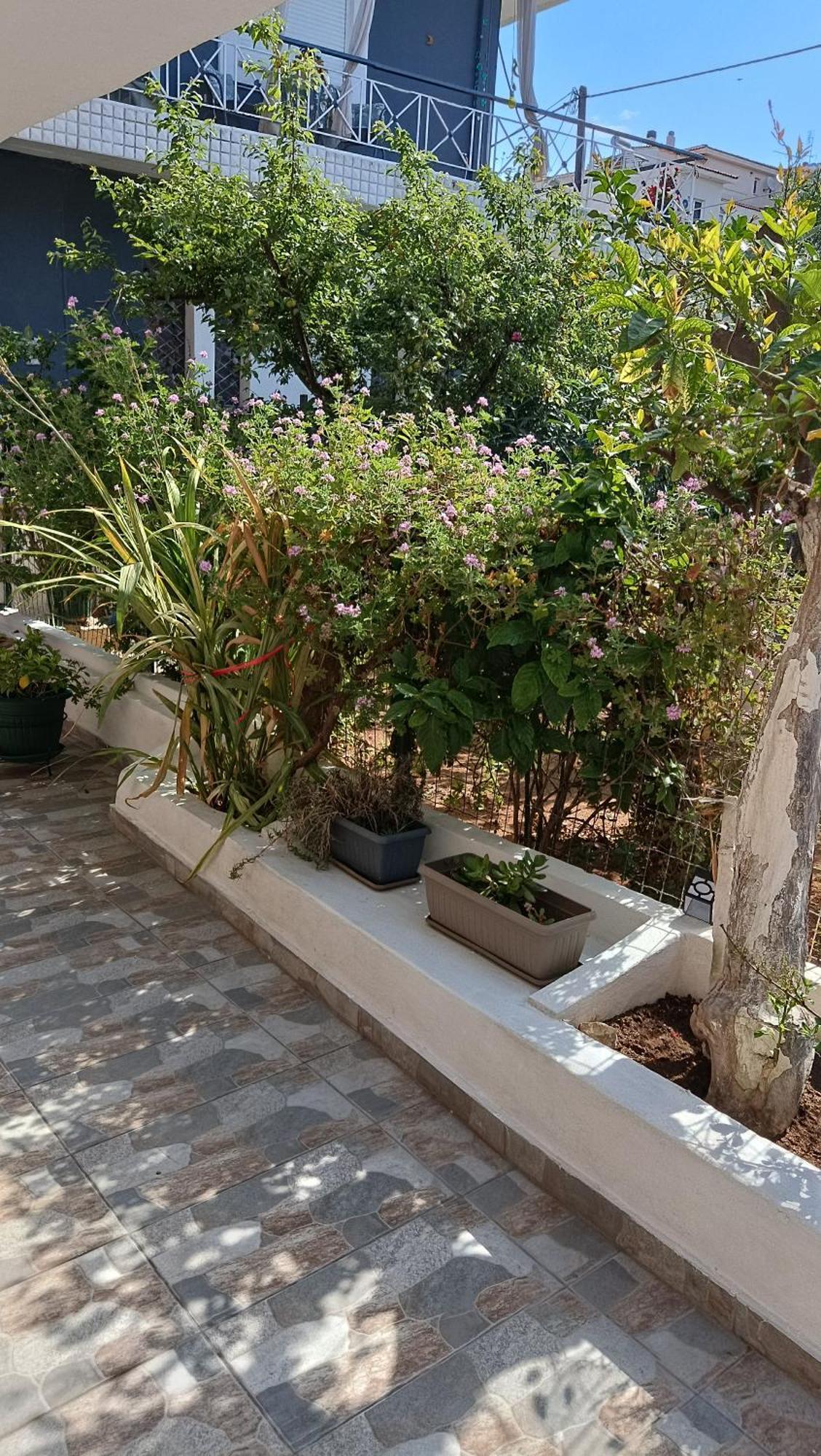 Melograno Apartamento Markópoulon Exterior foto